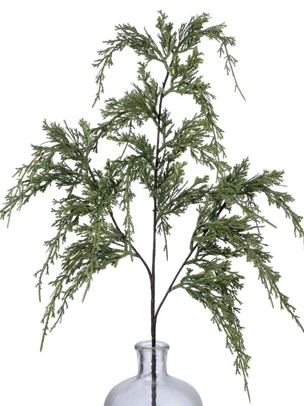 31" soft touch cypress spray