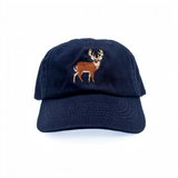 navy buck baseball hat