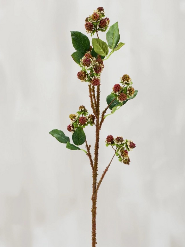 Wild Raspberry Floral Pick