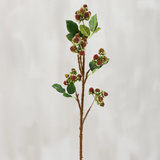 Wild Raspberry Floral Pick