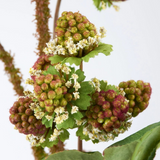Wild Raspberry Floral Pick
