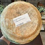 Vintage Cutout Planter Pot