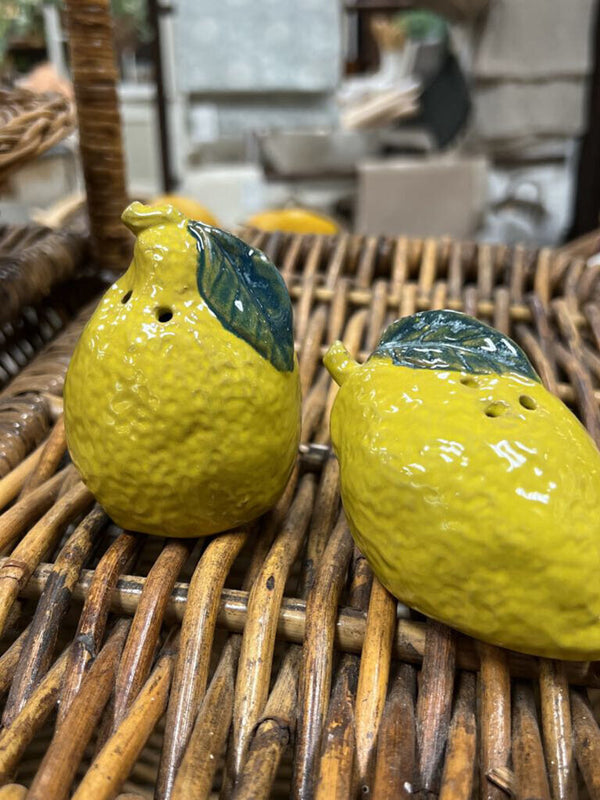 Hand-Painted Salt & Pepper Shakers, Set of 2