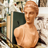 Terra cotta lady bust