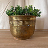 Brass Planter