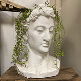 David chalk planter 3996