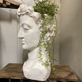 David chalk planter 3996