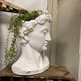 David chalk planter 3996