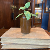 Small stoneware jar - brow glazed
