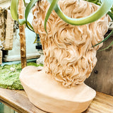 Large Terra Cotta painted David Bust