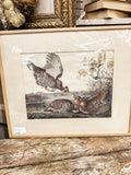 Framed Audubon Print - Ruffed Grouse with lilies