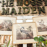 Framed Audubon Print-Blue Heron