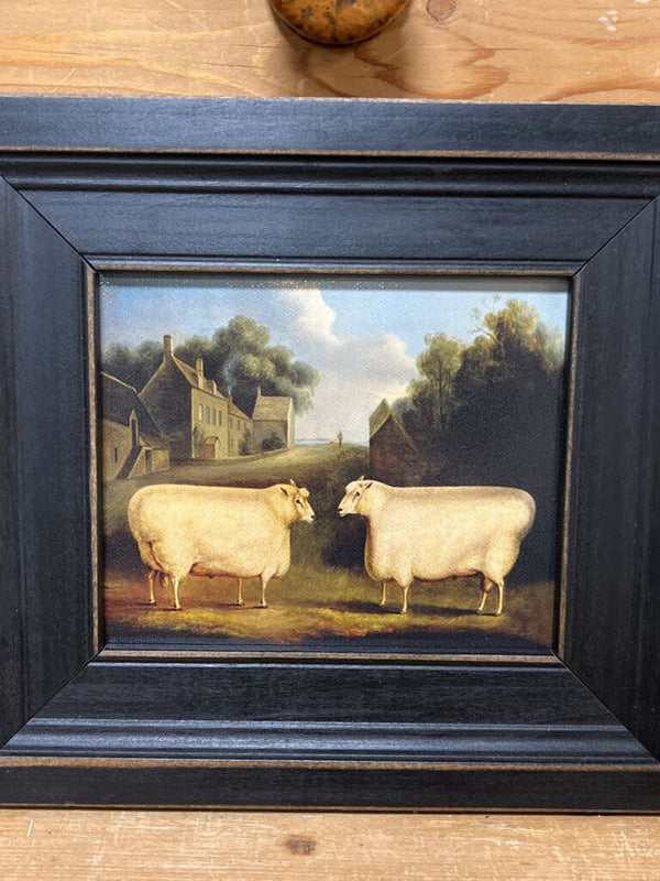 Framed Vintage painting print featuring two sheep