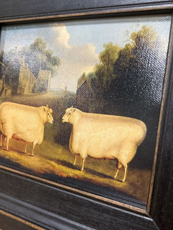 Framed Vintage painting print featuring two sheep