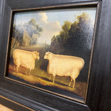 Framed Vintage painting print featuring two sheep