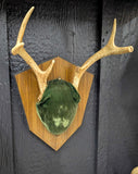 Antler mount with green velvet