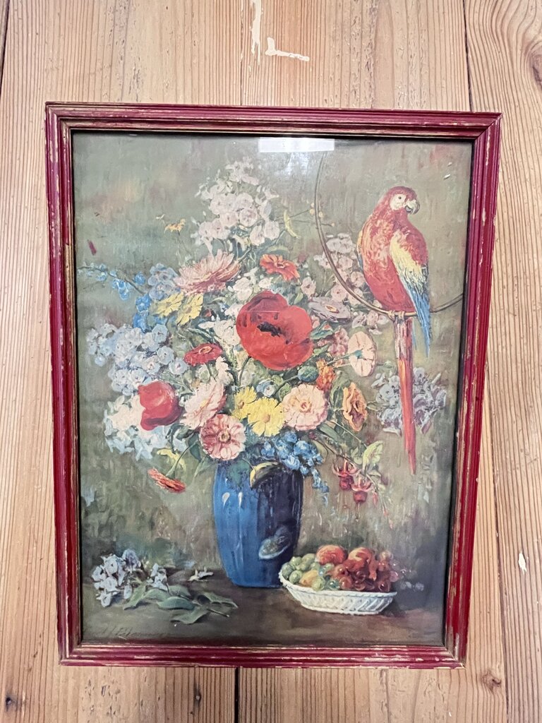 floral parrot art