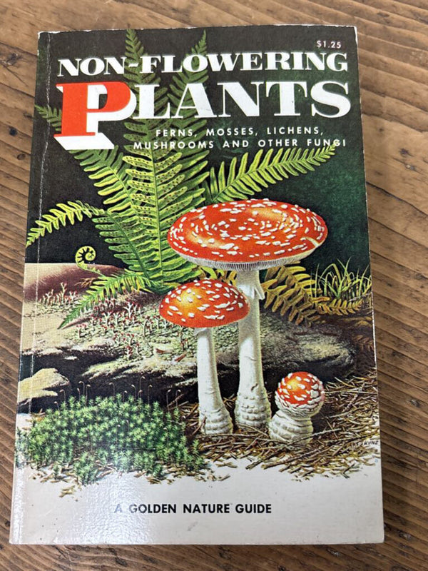 Non Flowering Plants Guidebook