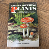 Non Flowering Plants Guidebook
