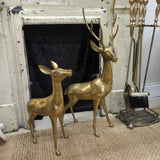 Vintage brass buck & doe, Rare XL set of 2