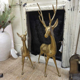 Vintage brass buck & doe, Rare XL set of 2