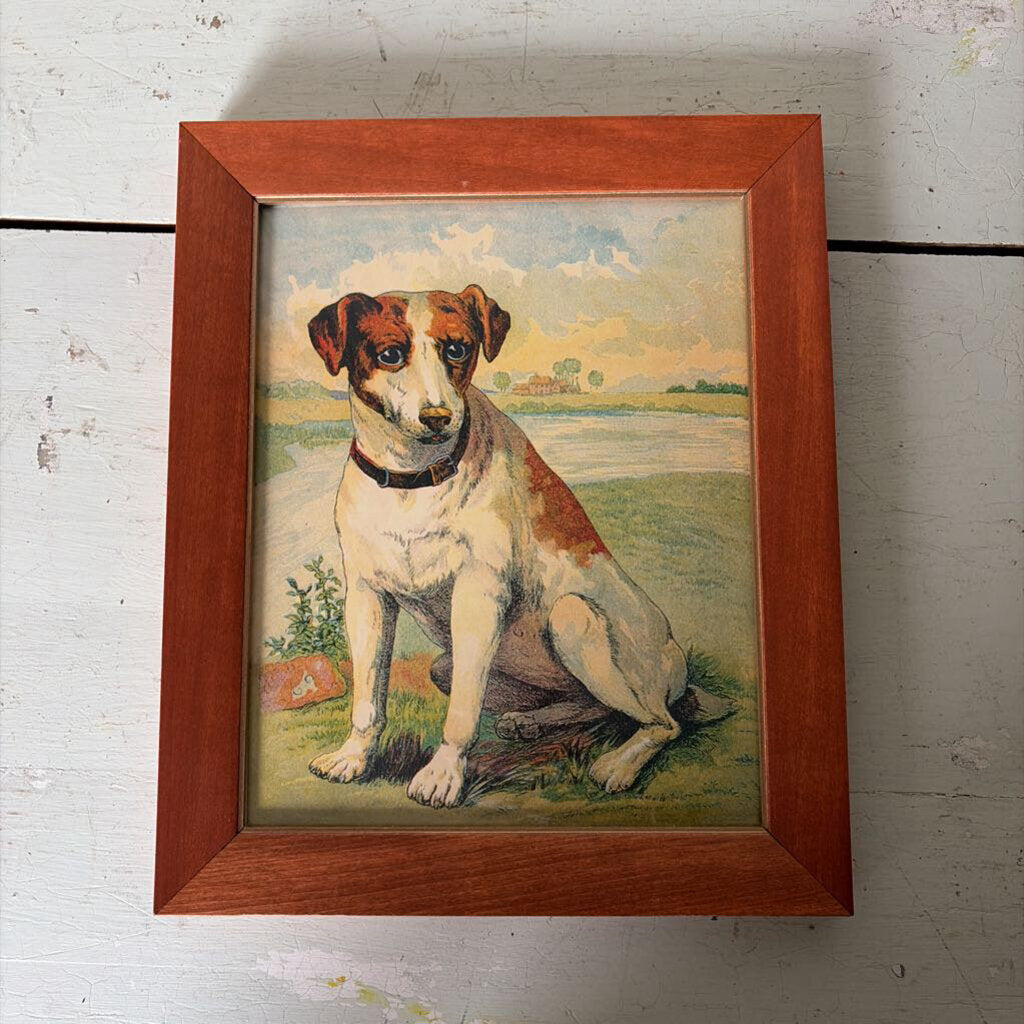 8"x10" vintage dog children's book illustration