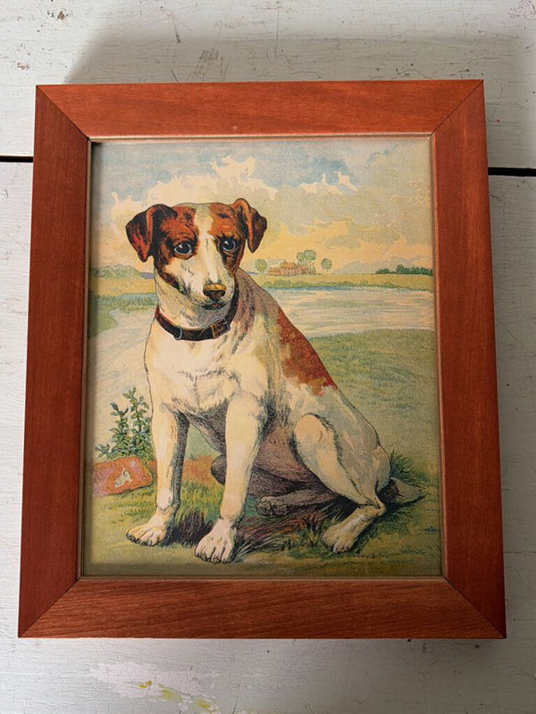 8"x10" vintage dog children's book illustration