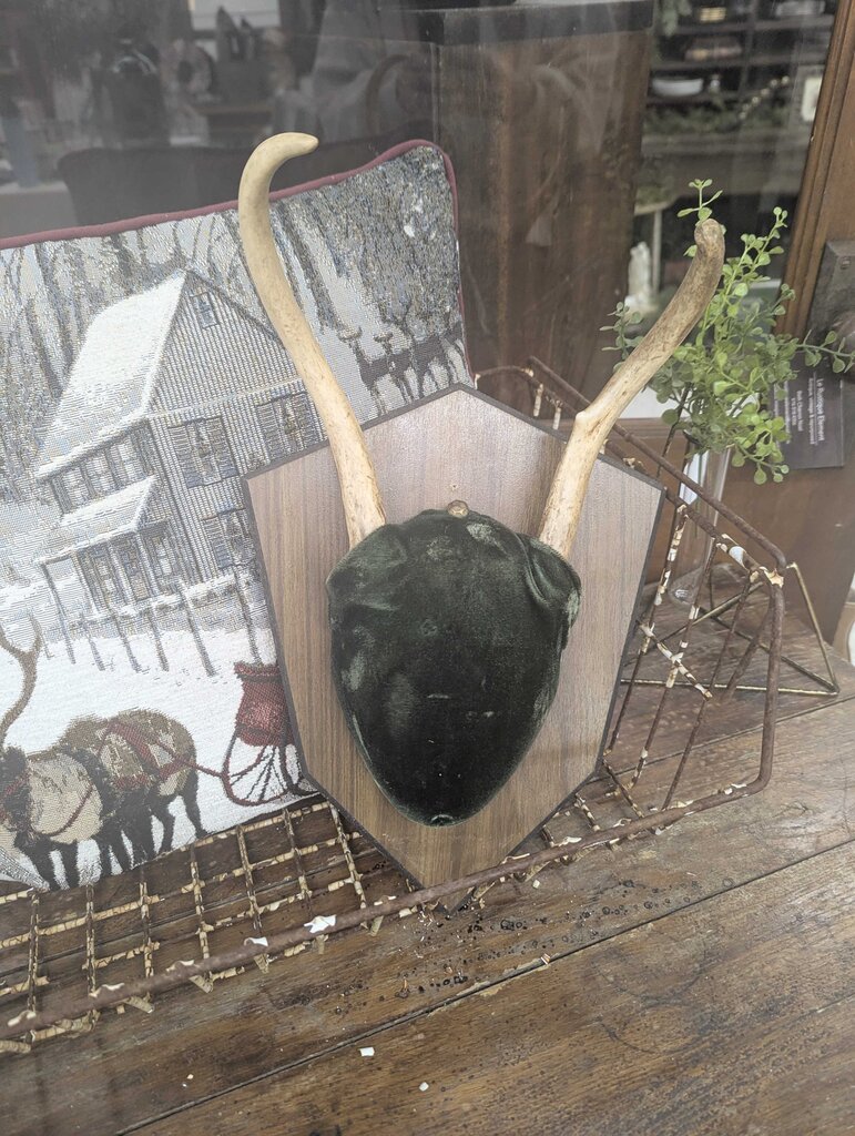 Antler mount with green velvet 13"H x 9" W