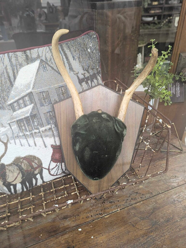 Antler mount with green velvet 13"H x 9" W