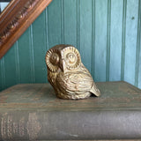 Brass Owl