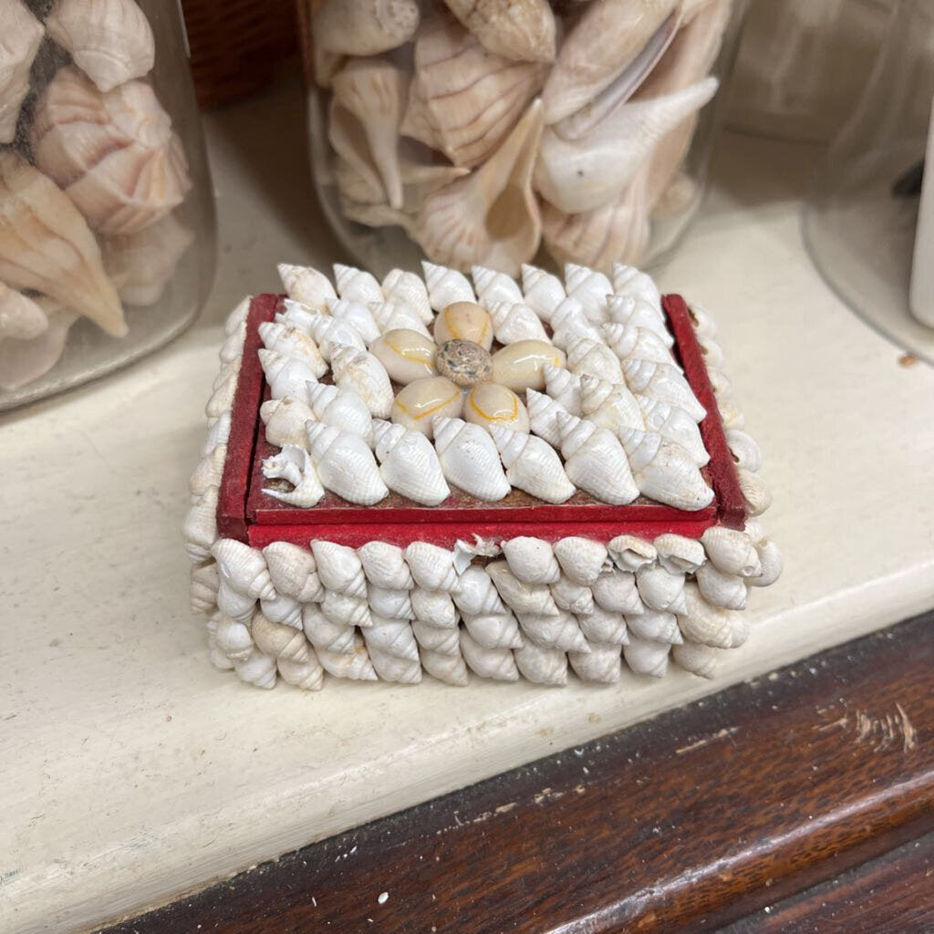 small shell trinket box