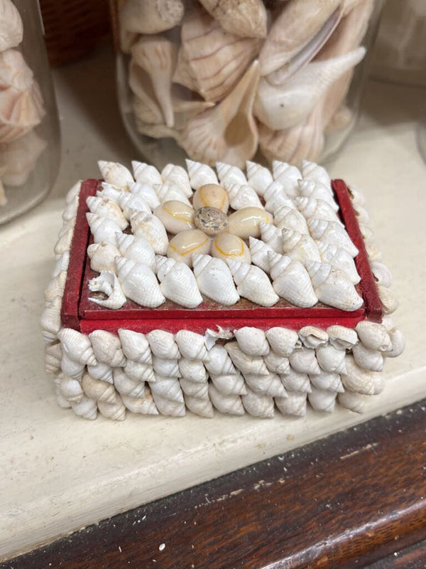 small shell trinket box