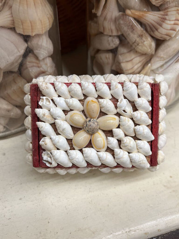 small shell trinket box