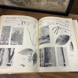 Tree Identification Book