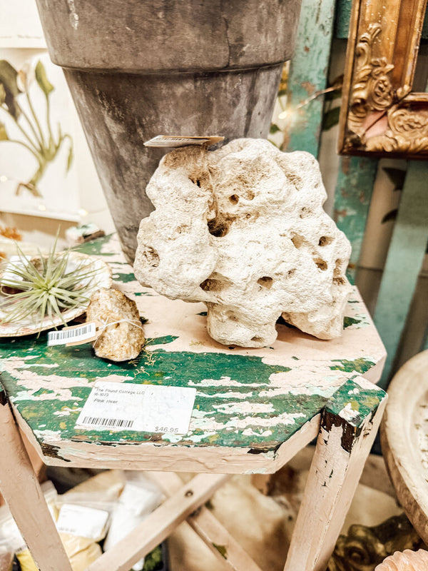 Large coral specimen