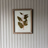 Botanical Wall Decor