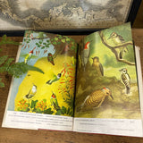 Familiar Garden Bird Book