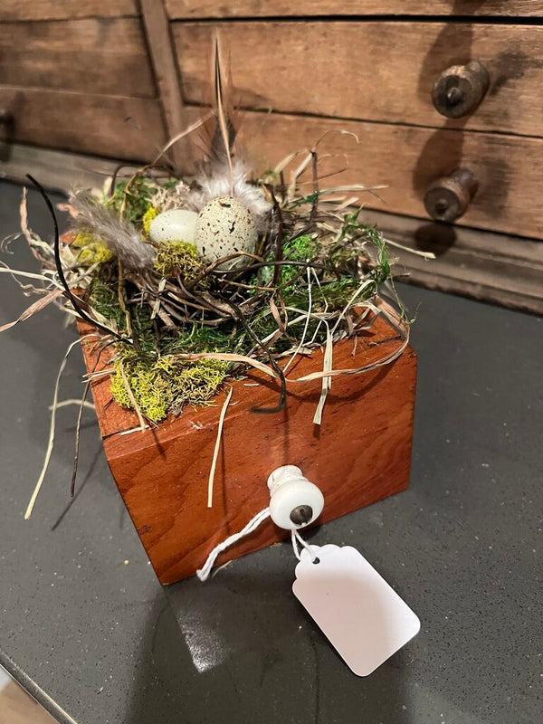 Nest in wooden drawer