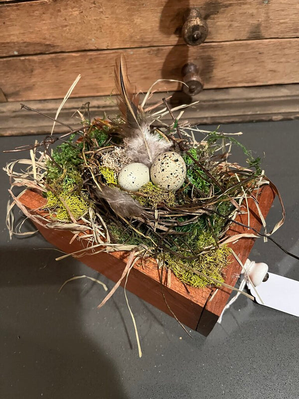 Nest in wooden drawer