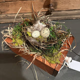 Nest in wooden drawer