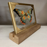 green butterfly glass and wood decor
