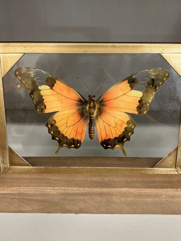 orange butterfly glass and wood decor