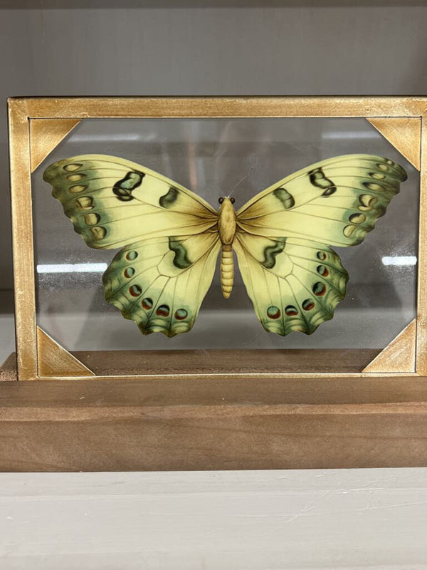light green butterfly glass and wood decor