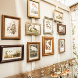 Framed White pelican