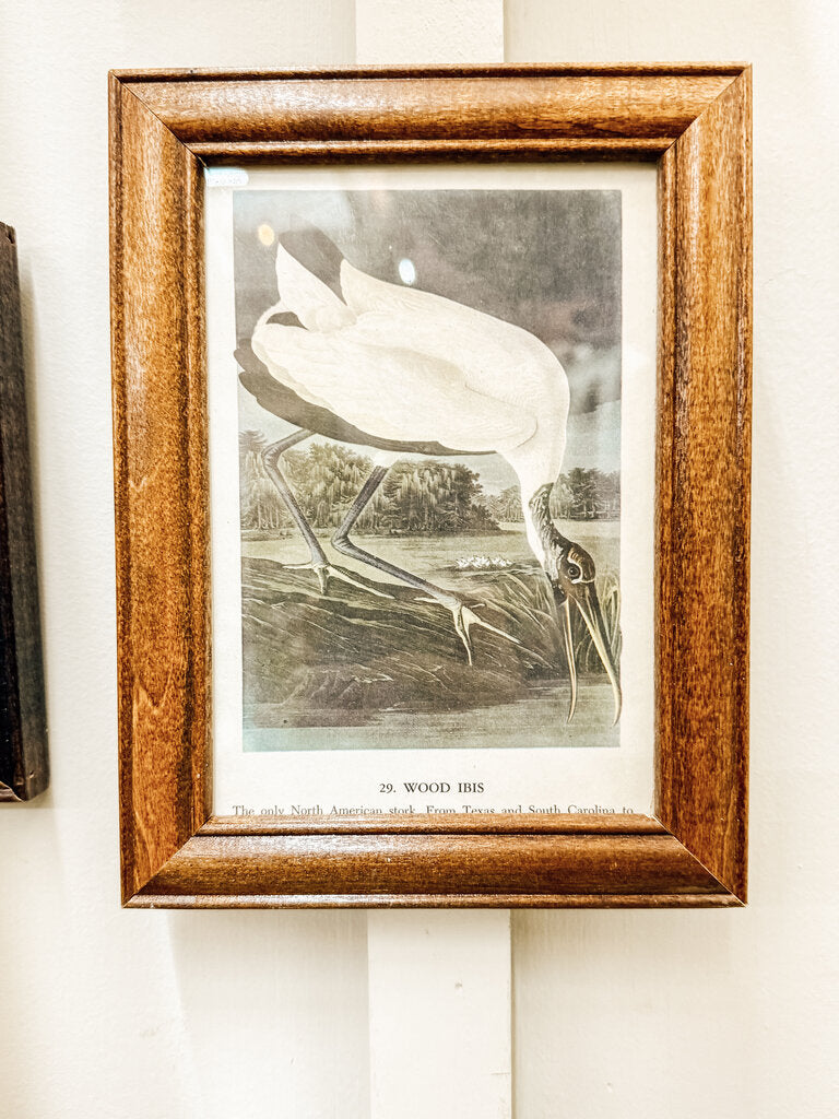 Framed wood ibis