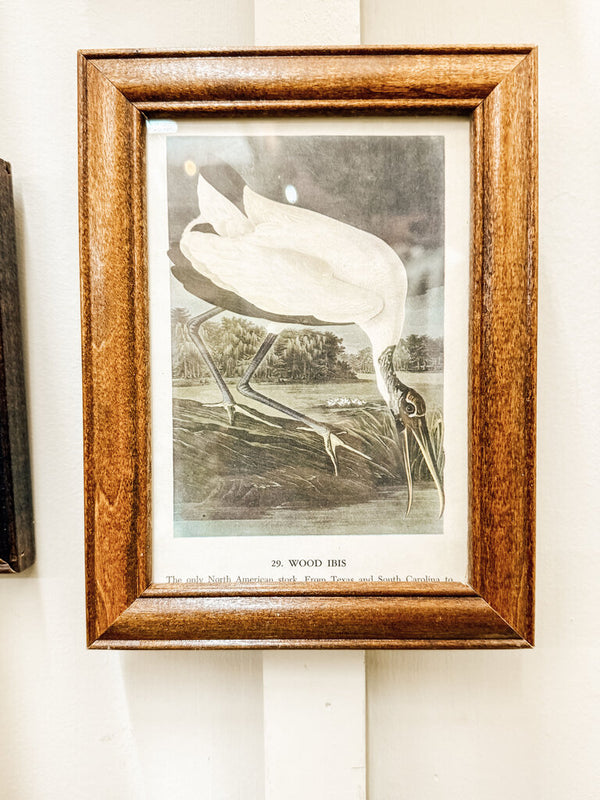 Framed wood ibis