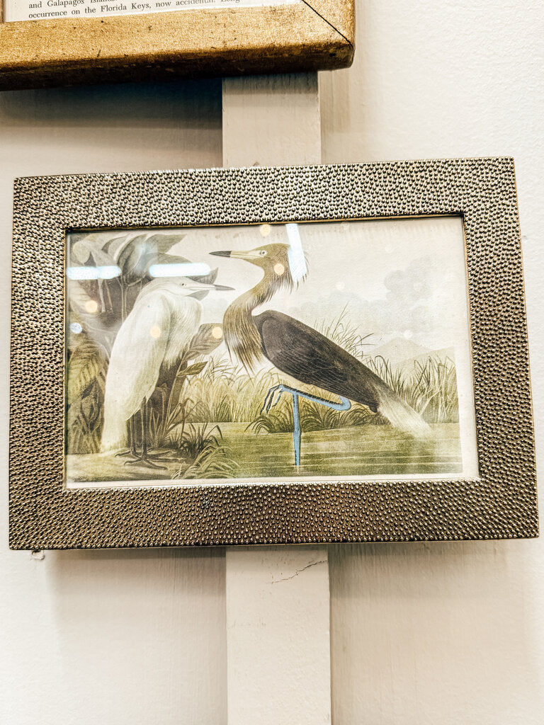 Gold framed herons