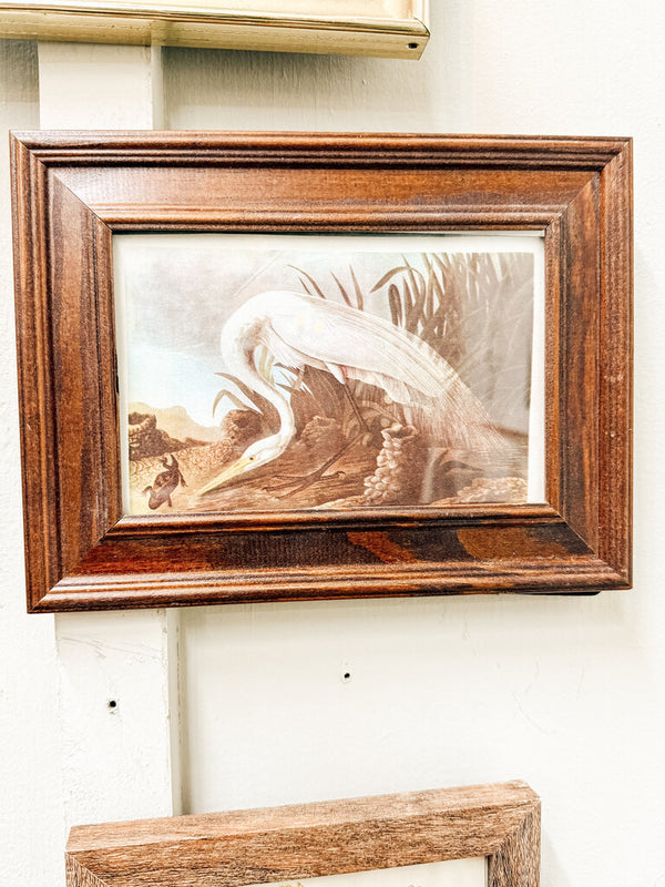 Framed white heron