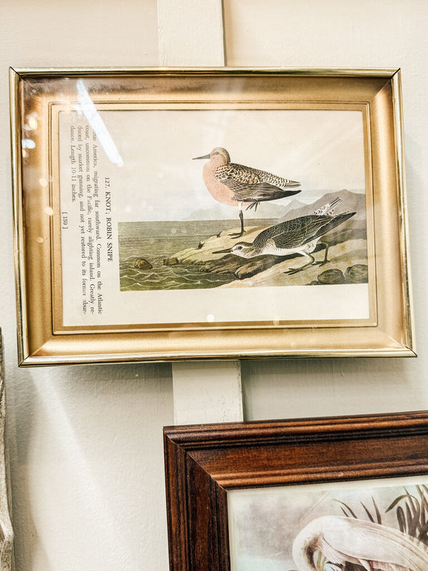 Gold framed knot Robin Snipe
