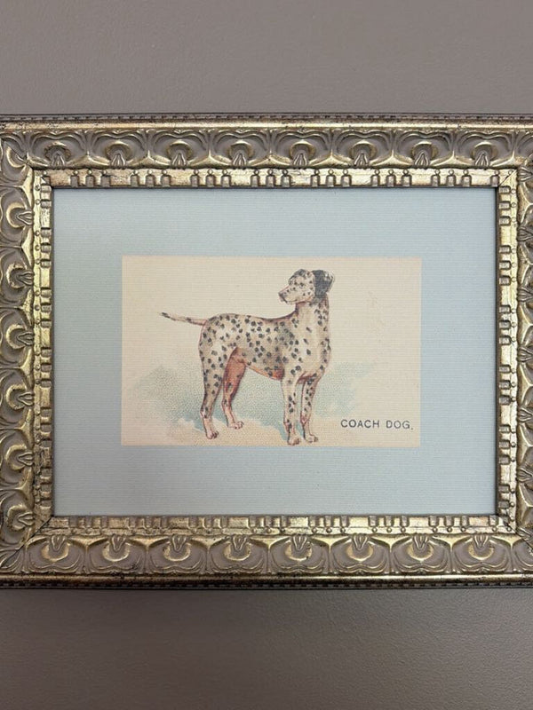 8x10 Dalmatian Framed Antique Art